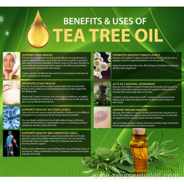 Private label 100% pure tea tree essential oil bulk